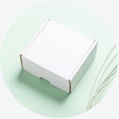 Minimalist white shipping box on light green background with decorative grass.